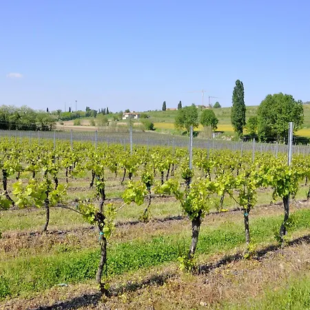 In Near Garda Lazise